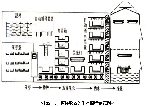 芽苗菜生产的基本过程--芽苗菜的无土种植技术三