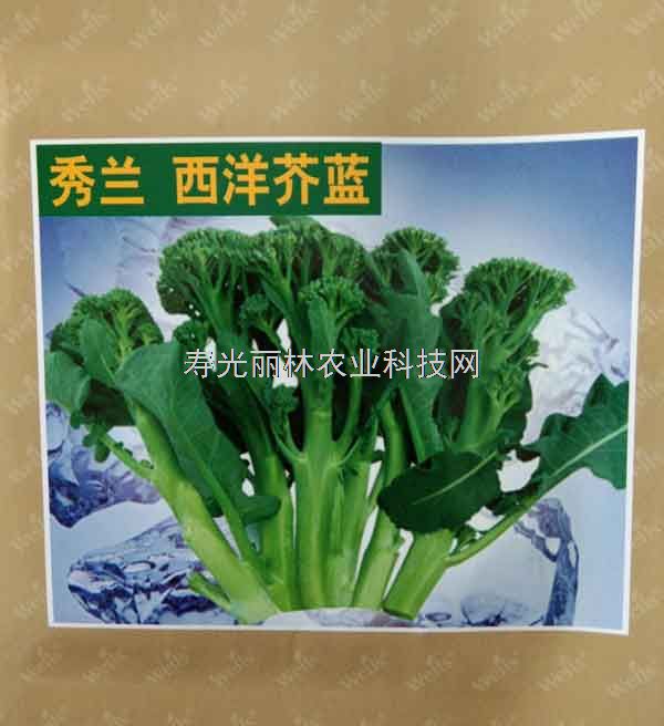 西兰苔种子-日本秀兰西洋芥蓝种子