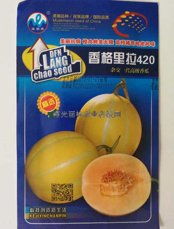 香格里拉420香瓜种子甜瓜种子