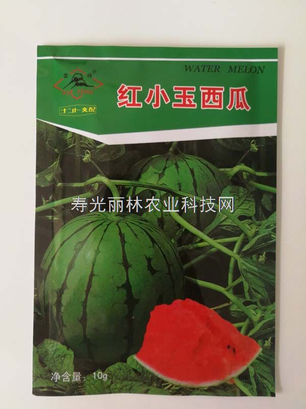 红小玉西瓜种子-红瓤礼品小西瓜种子