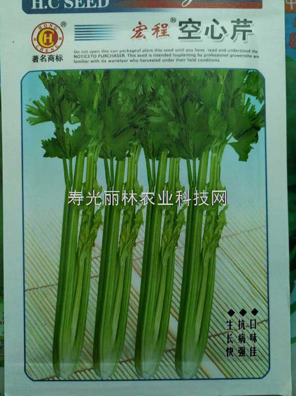绿色空心芹菜种子-宏程空芹种子