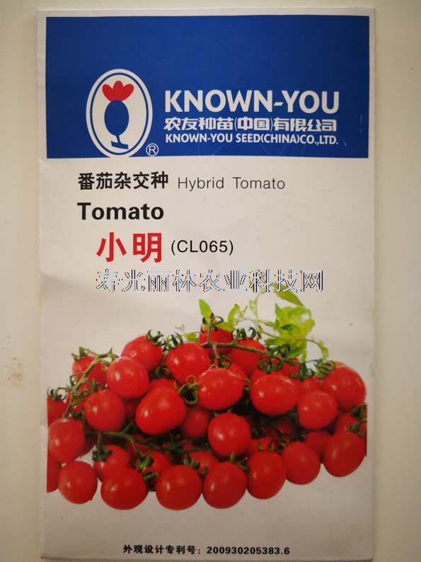 红圣女果番茄种子-台湾农友小明樱桃番茄种子-口感番茄种子