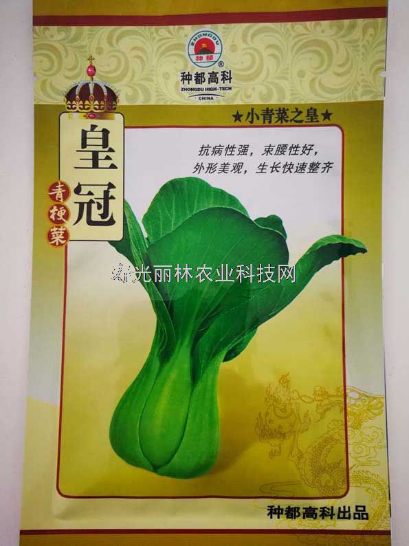 皇冠青梗菜种子