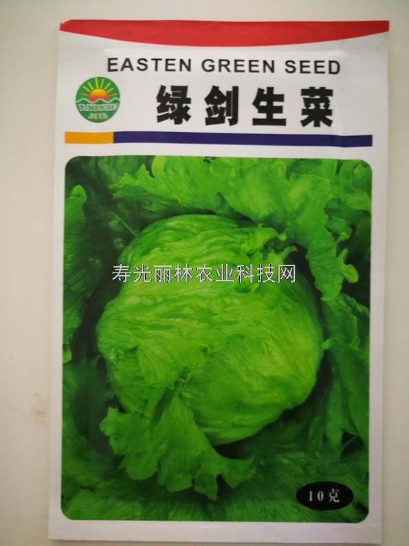 球生菜种子-绿剑生菜种子