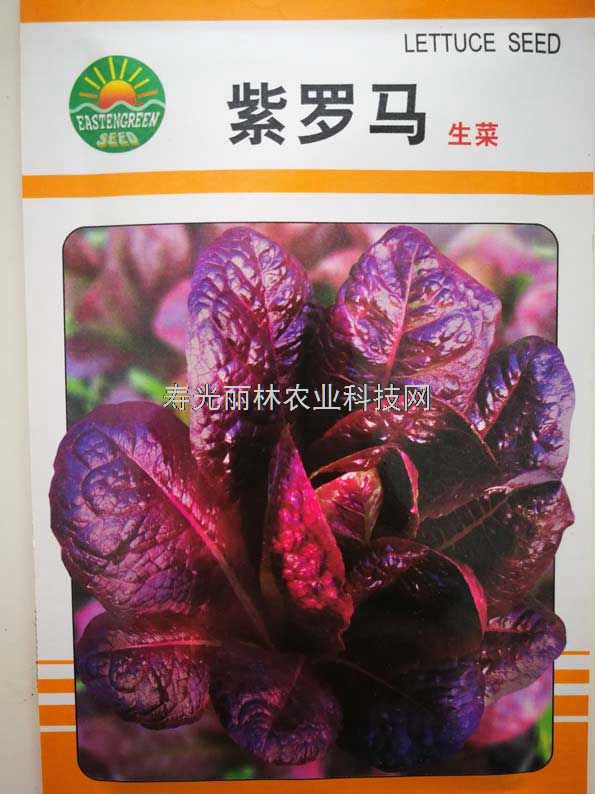 紫生菜种子-紫罗马生菜种子